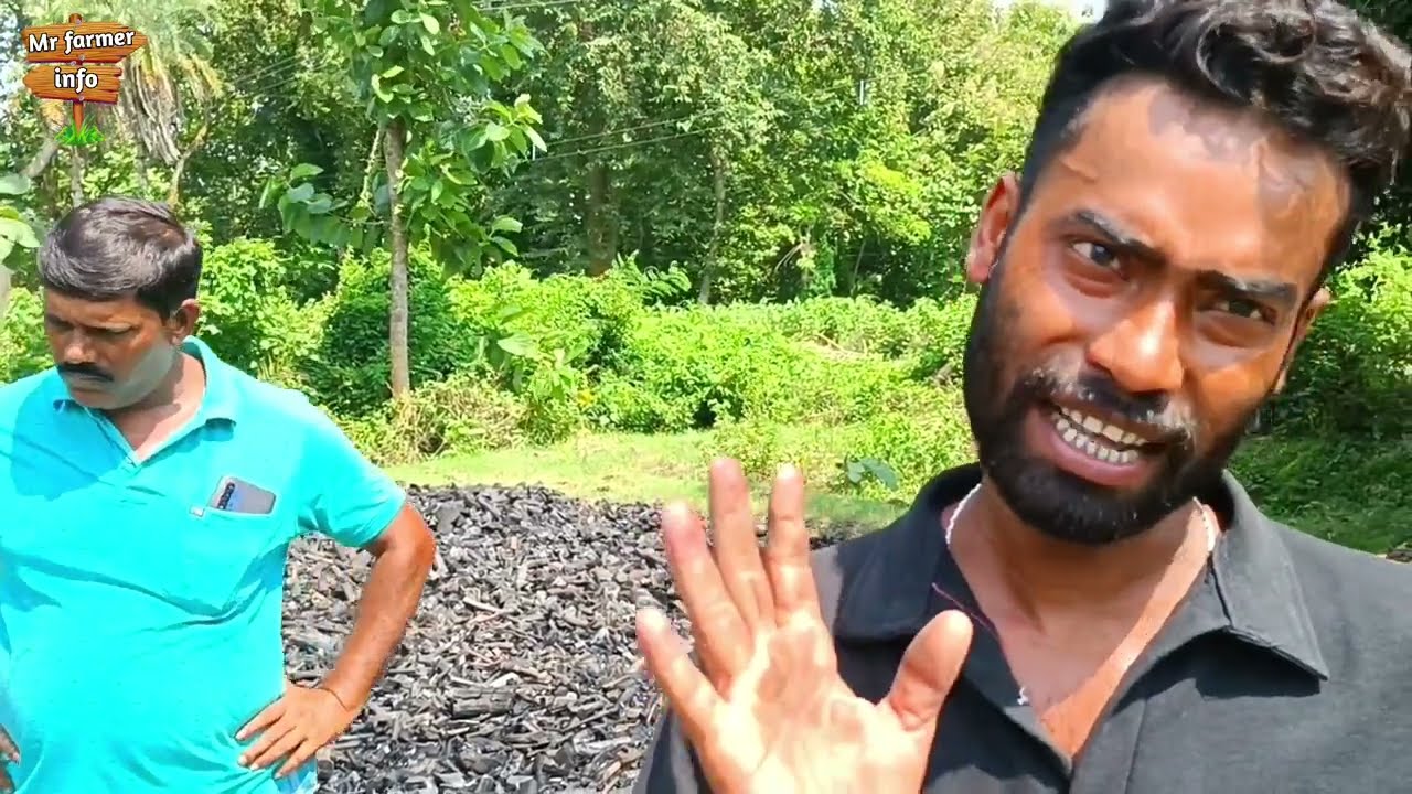 দেখুন কিভাবে কাঠ পুড়িয়ে কয়লা তৈরি করা হয়।mr farmer info.