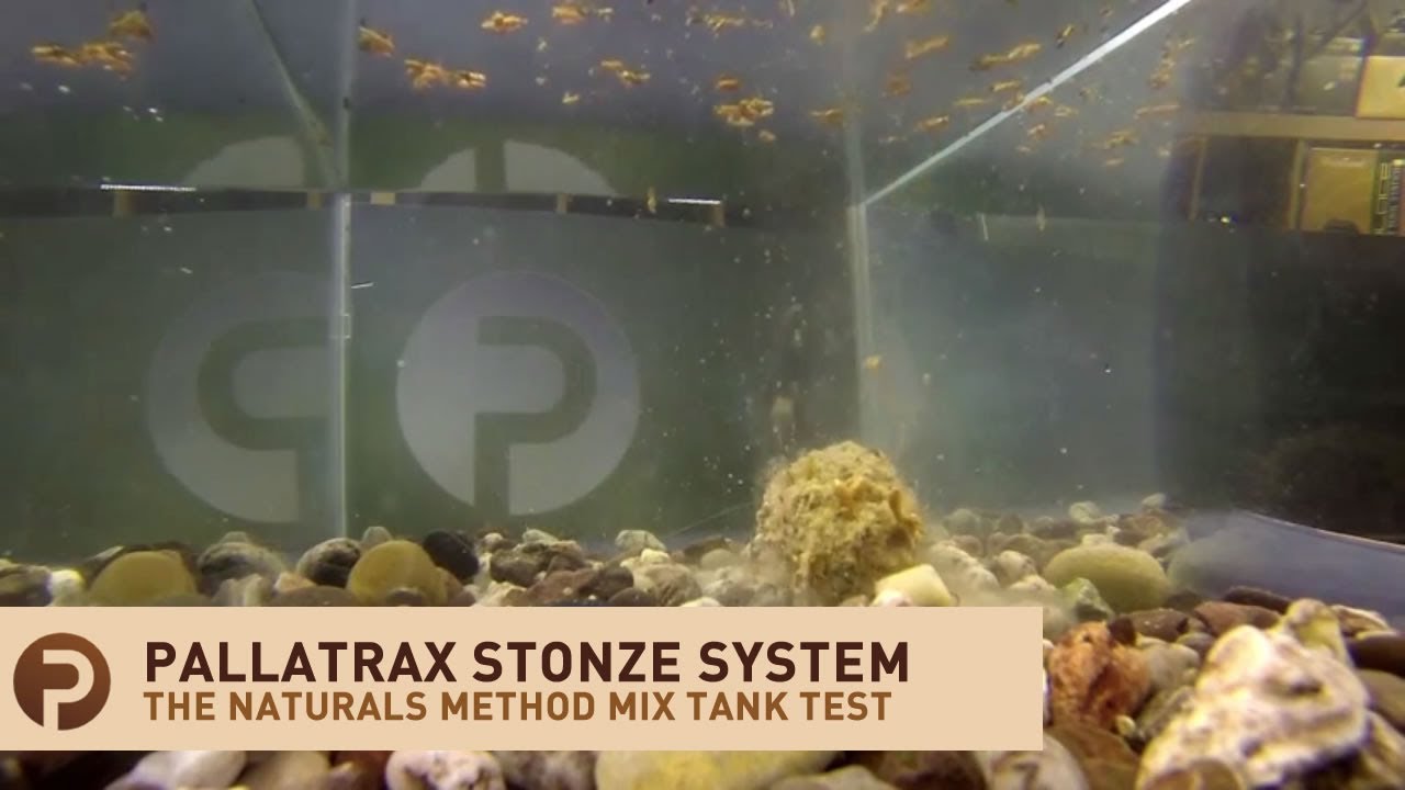 Testing Out The Stonze System: The Ultimate Natural Stone Fishing Weights!