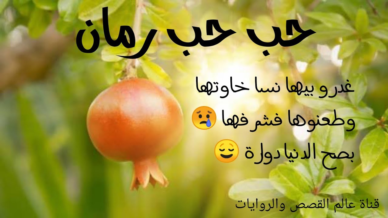 حكاية حب حب رمان من التراث الجزائري من عند مشتركة في القناة rahik rahik