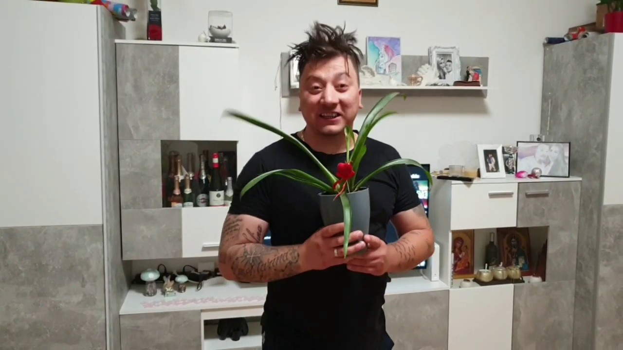 Posledice od 1.Maj