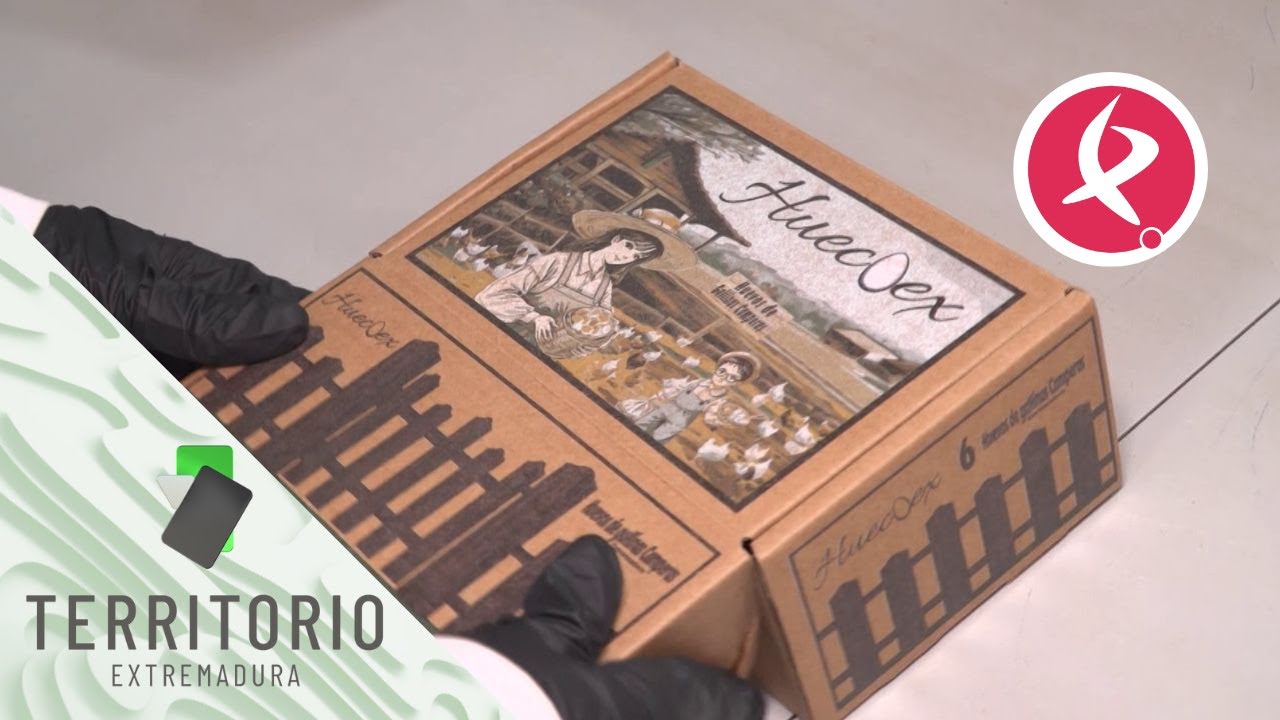 Una granja de gallinas muy especial en Aldea del Cano | Territorio Extremadura