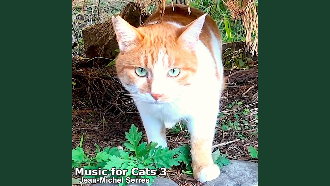 Kitten's Adventure I (Alternate Version)