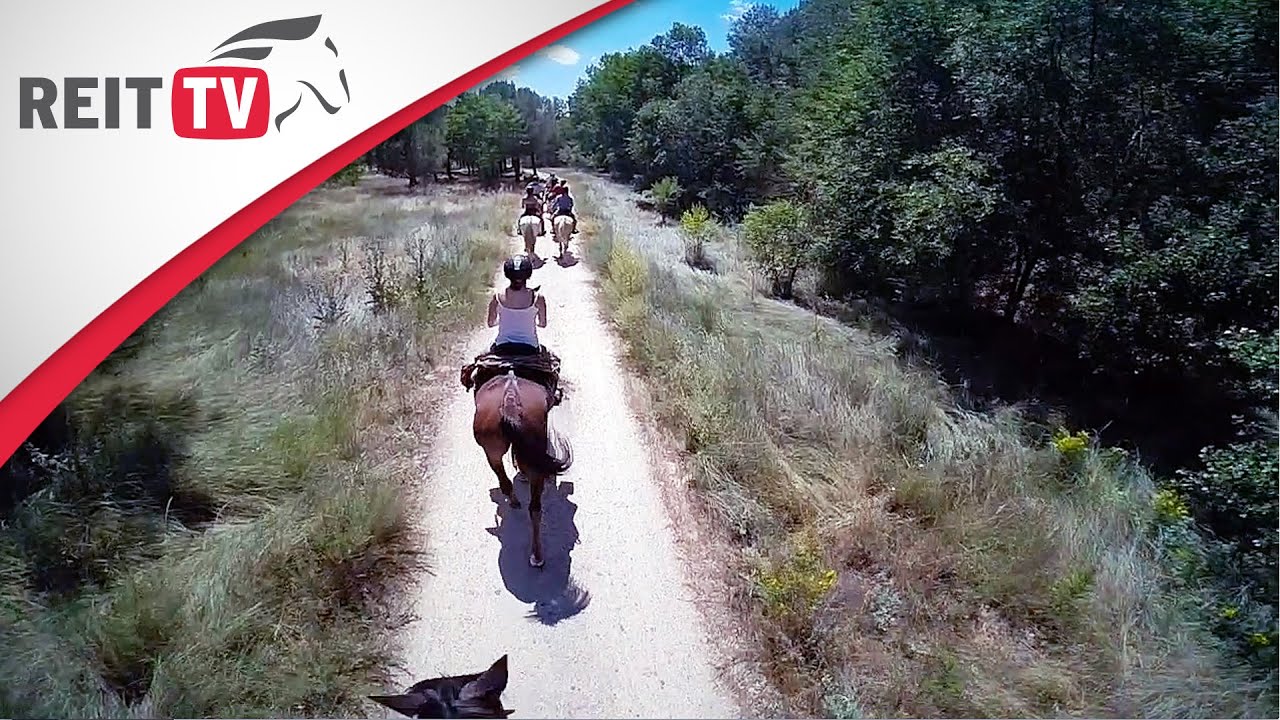 Reiterreisen | Videotagebuch Teil 3 | Yvonne in Spanien