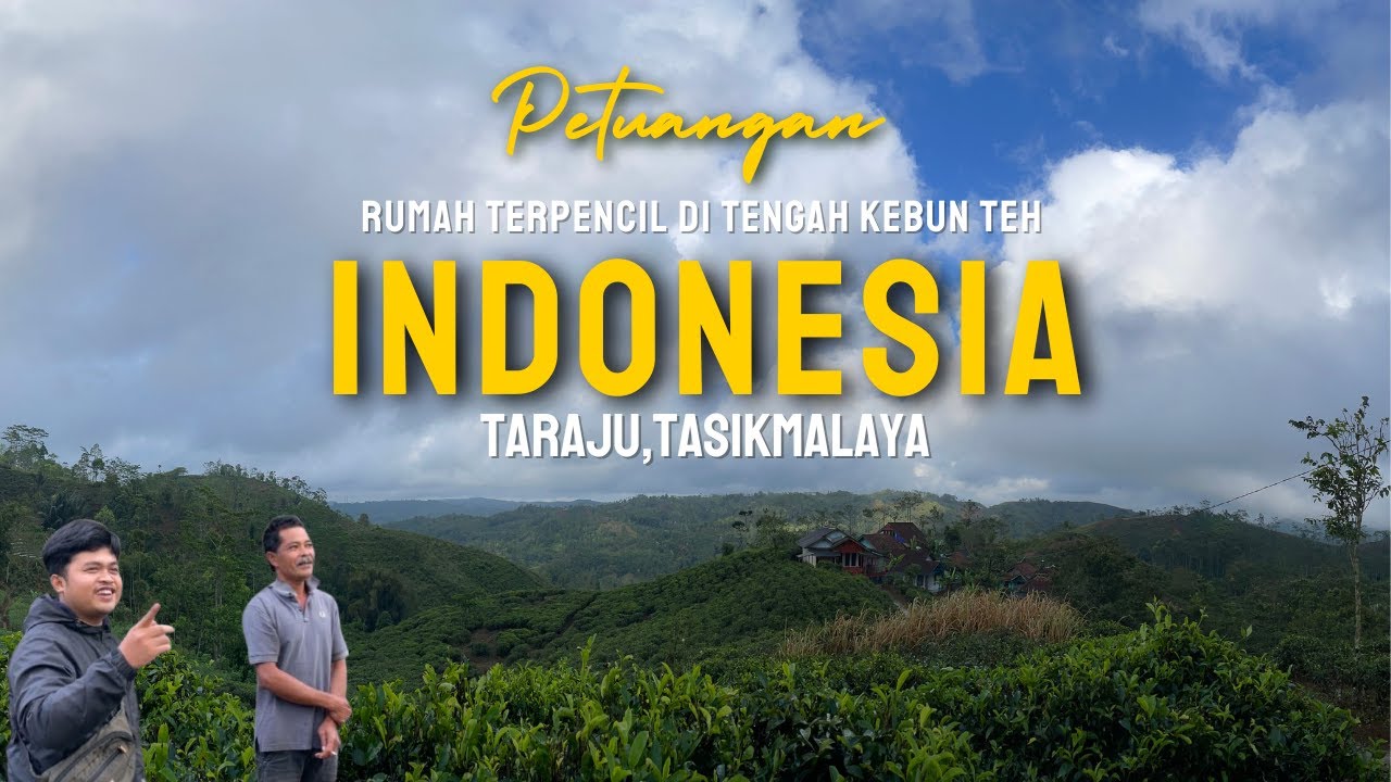 Hanya 10 Rumah Yang Tinggal Di Tengah Kebun Teh Ini !! Taraju Tasikmalaya Sangat Indah Asri & Damai