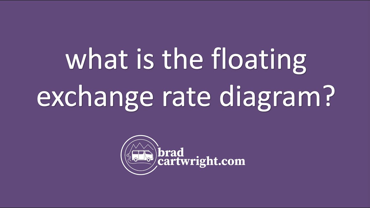 What is The Floating Exchange Rate System Diagram | The Global Economy | IB Economics Exam Review