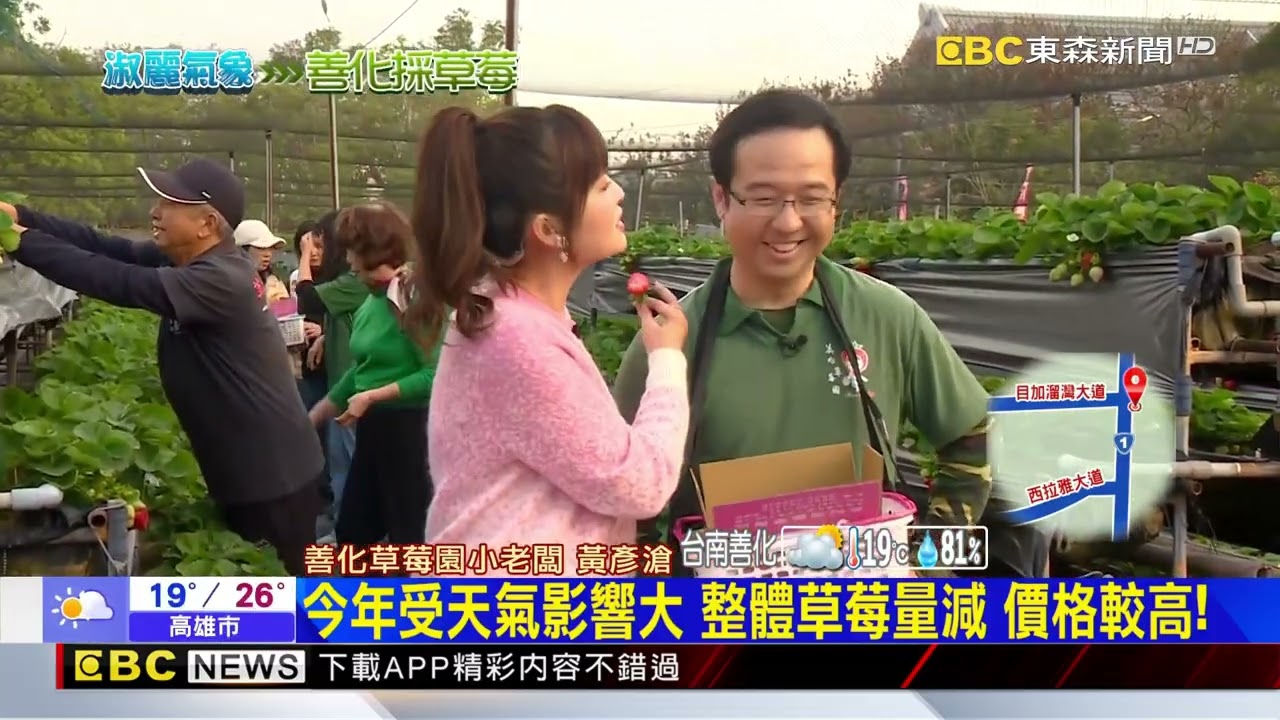 【淑麗趴趴GO】近幾周天氣偏冷！二期草莓盛產 果實紅又甜@newsebc