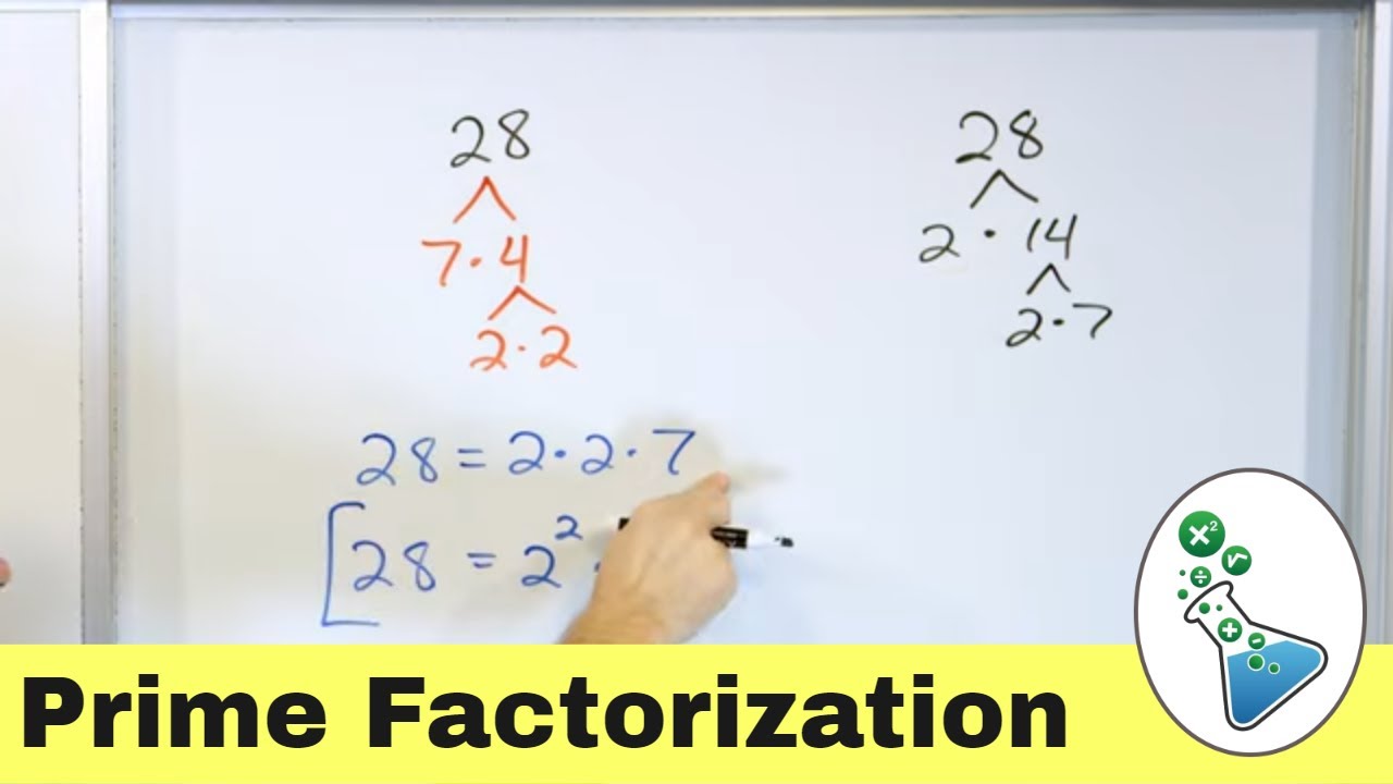 Finding the Prime Factorization & Using a Factor Tree