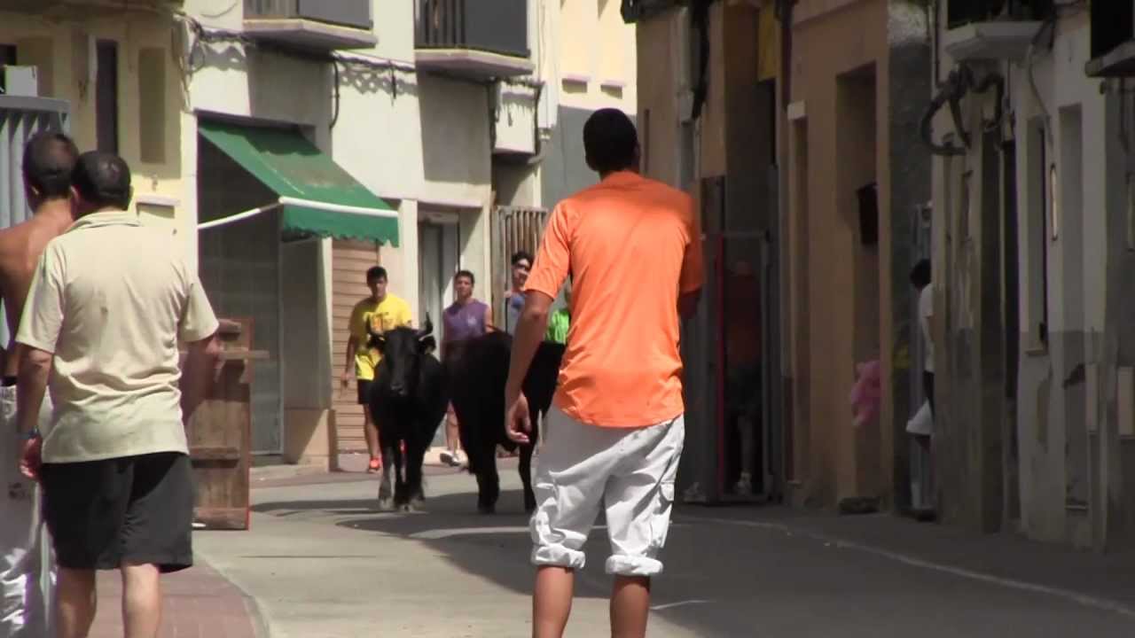 Vacas en fiestas de Ainzón