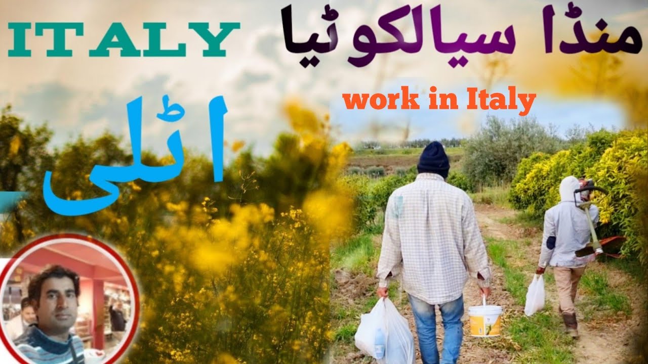 agriculture work in Italy seasonal visa month paper 2022new update
