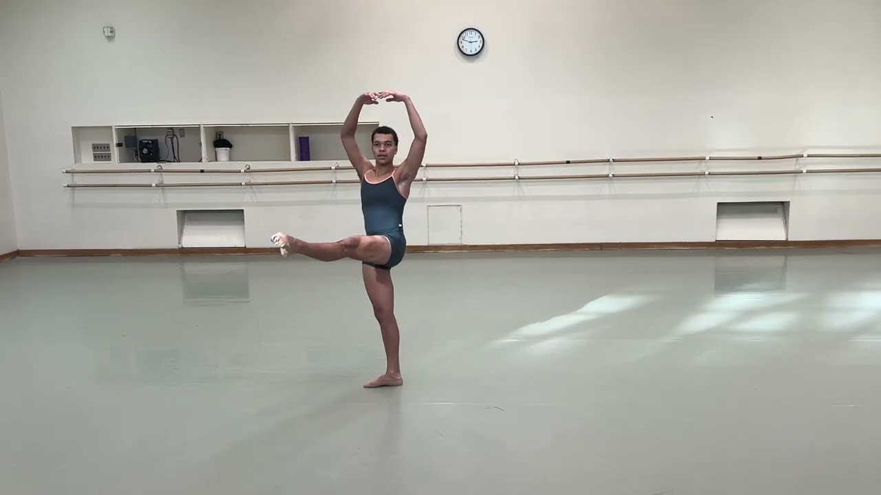 NDT Summer Intensive Application
