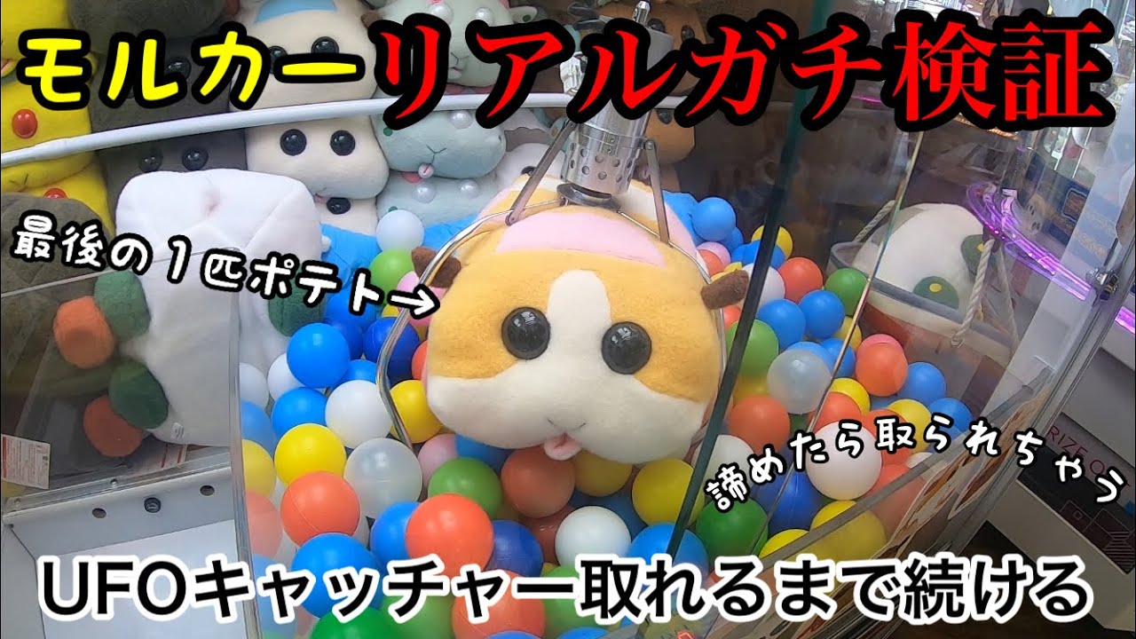 大人気 PUI PUI モルカー ぬいぐるみ クレーン vending machine UFOｷｬｯﾁｬｰ / ｹﾞｰﾑｾﾝﾀｰ 天竺鼠車車 Guineapigs Molcar