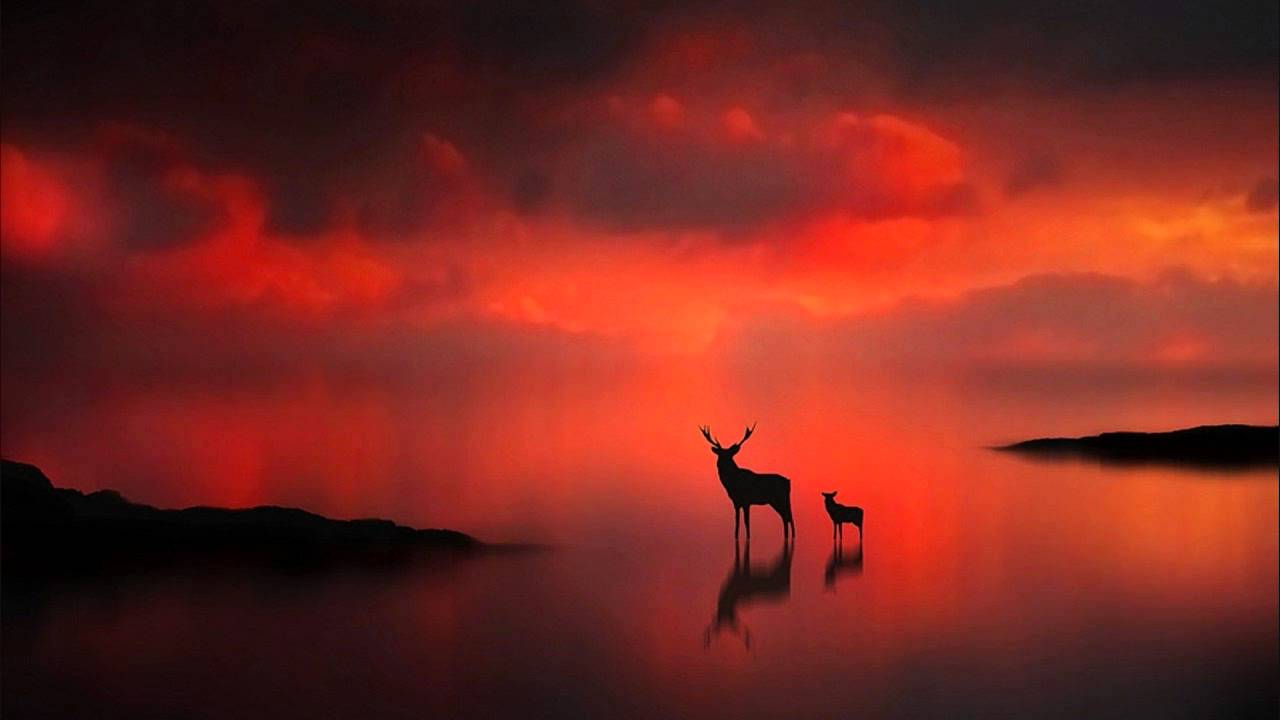 Klaus Schulze - Tradition & Vision (Studio 1997)