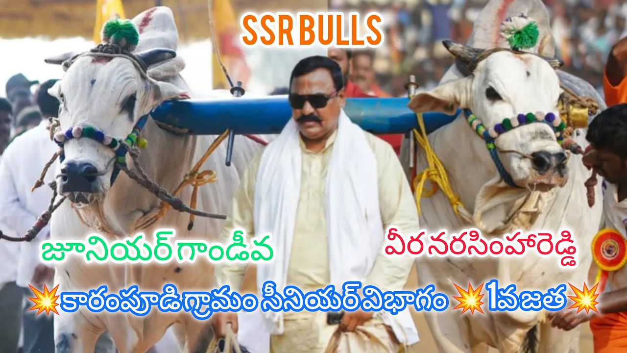 💥కారంపూడి గ్రామం  సీనియర్ విభాగం 💥1వ జత 💥SSR bulls  జూనియర్ గాండీవ, వీర నరసింహారెడ్డి 💥2330,10