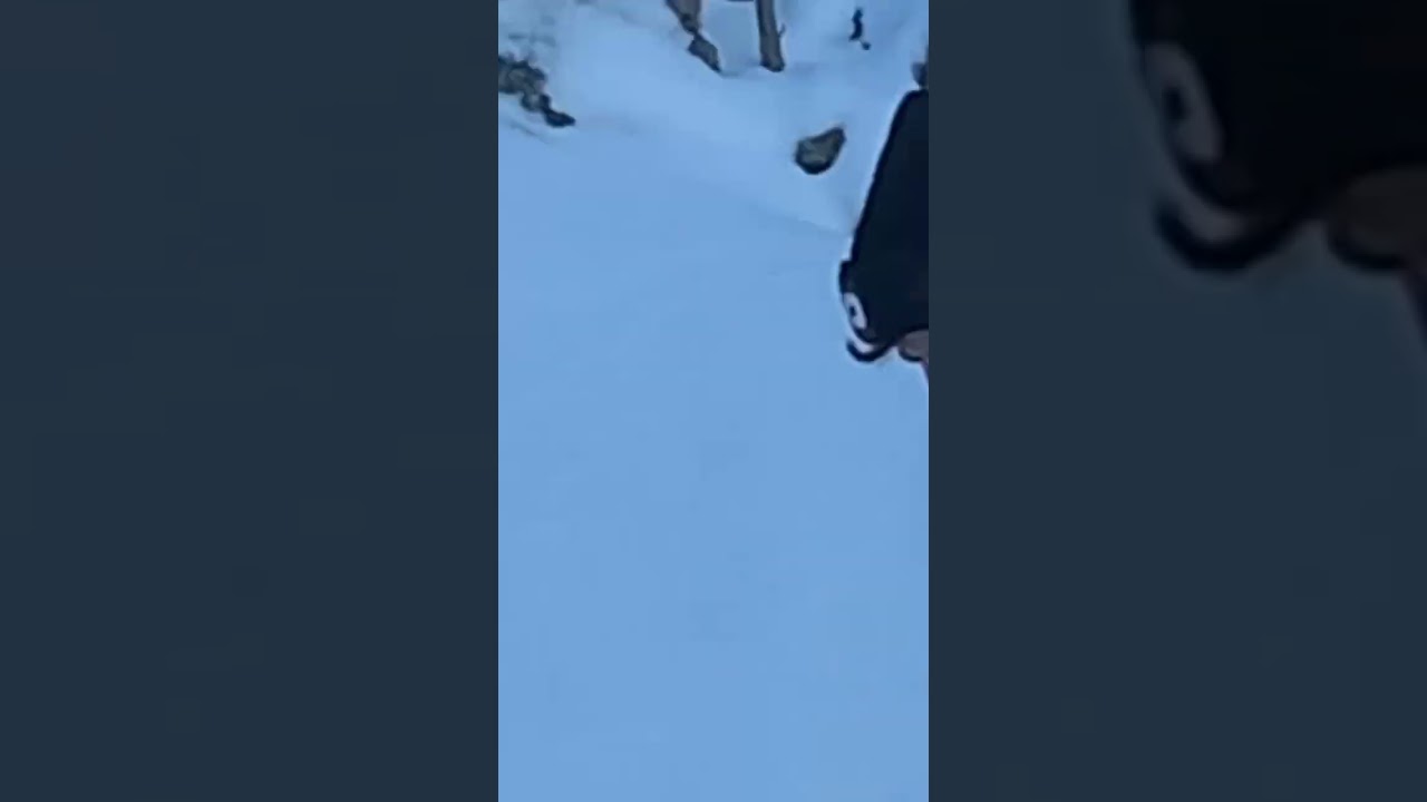 Hants County Man Struggles With Snowblower & Life Itself feat. @tyedempseymusic