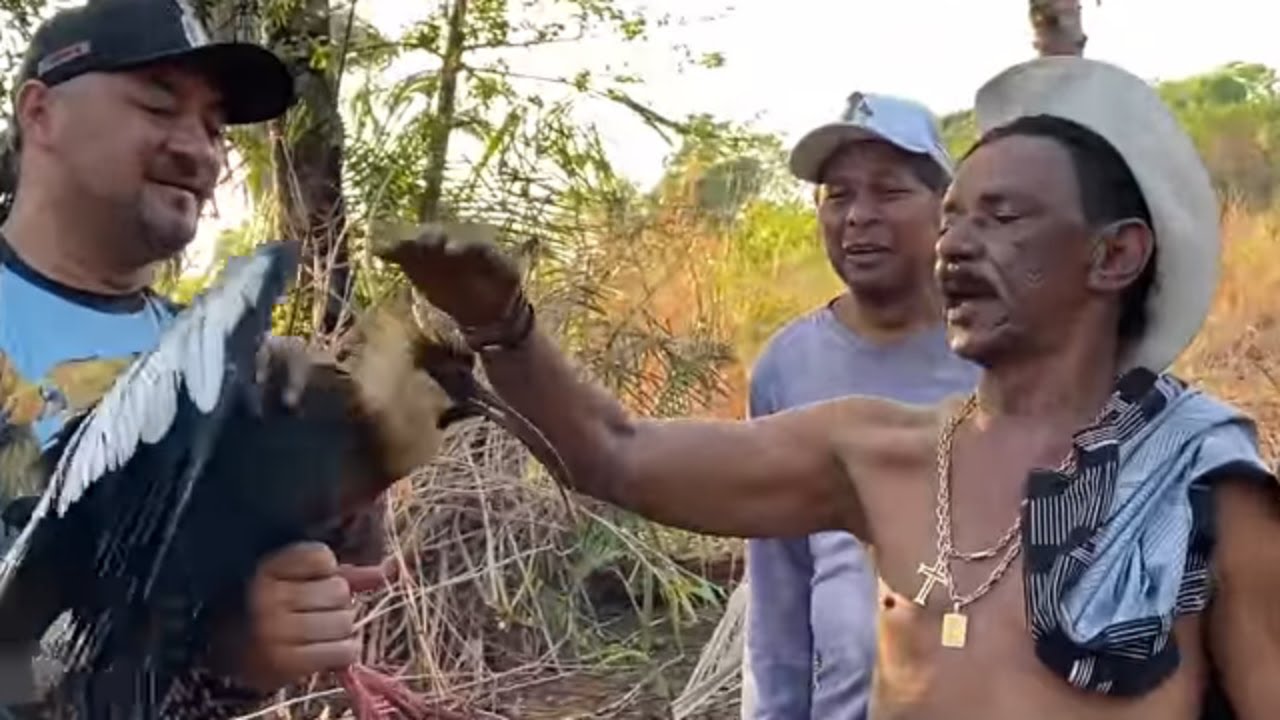CHARLLES, TIRINGA E A CURICACA 😂 | COMÉDIA SELVAGEM ®