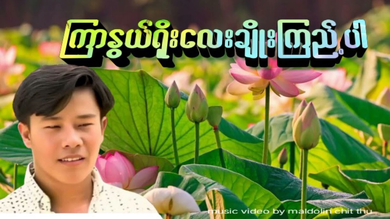 Kywar Ngwe Yoe Lay Choe Kyi Par - Twantay Soe Aung ကြာနွယ်ရိုးလေးချိုးကြည့်ပါ #တွံတေးစိုးအောင်