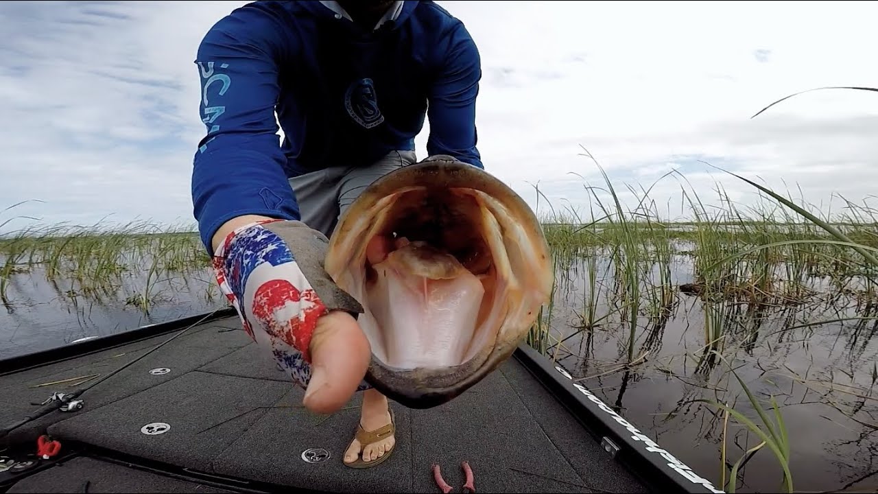 Fishing THE BIG O - Lake Okeechobee | Sweetwater TV