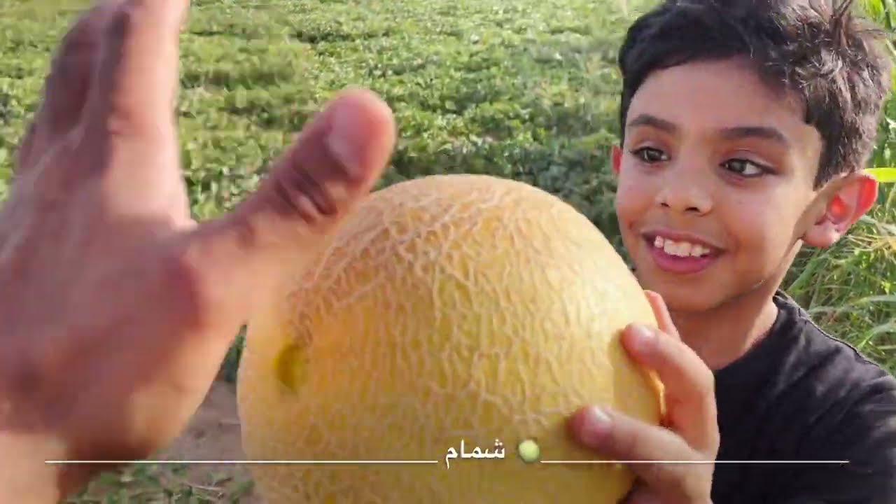 تحدي طلوع النخل🌴👏🏻|تحميل التيوس🐐🐑😂