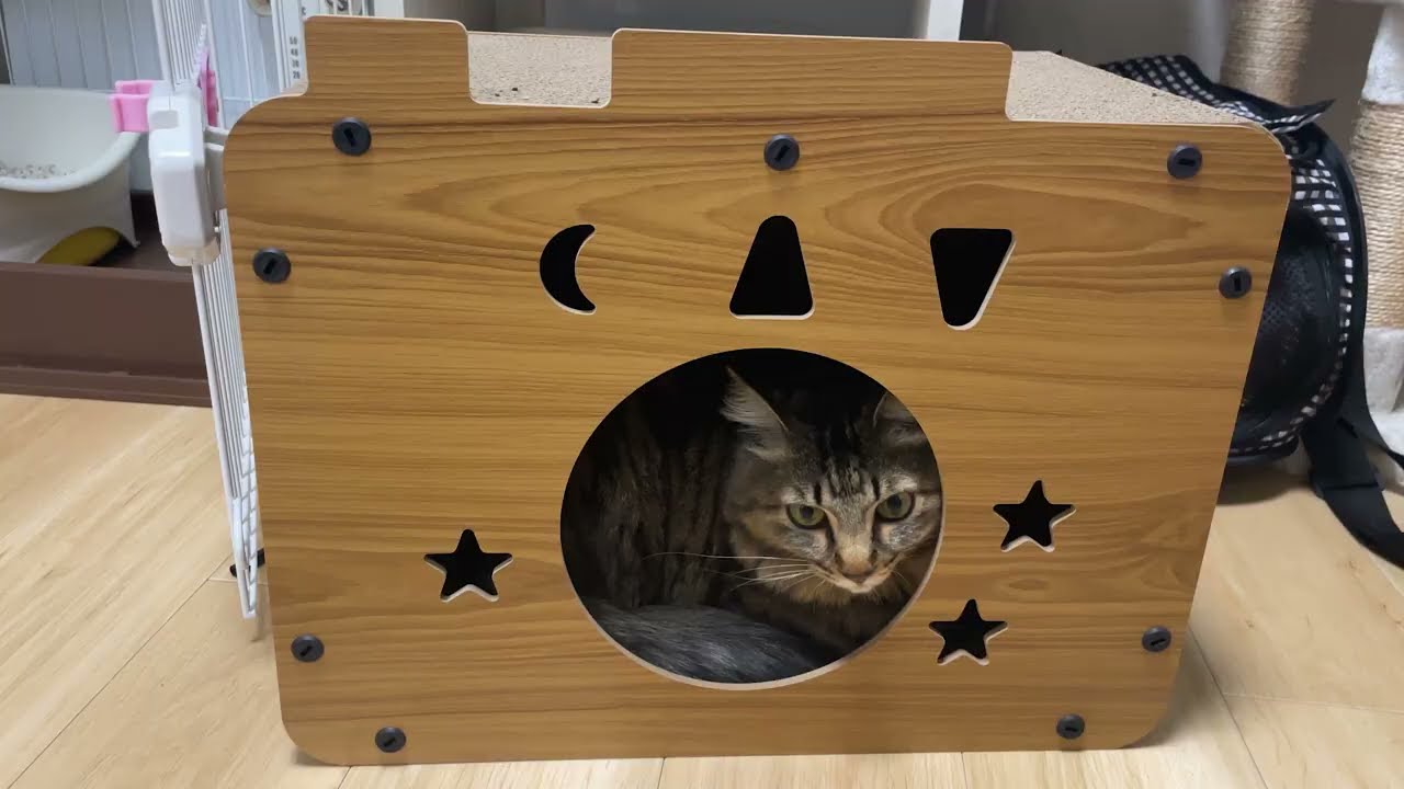 詐欺に遭いました！