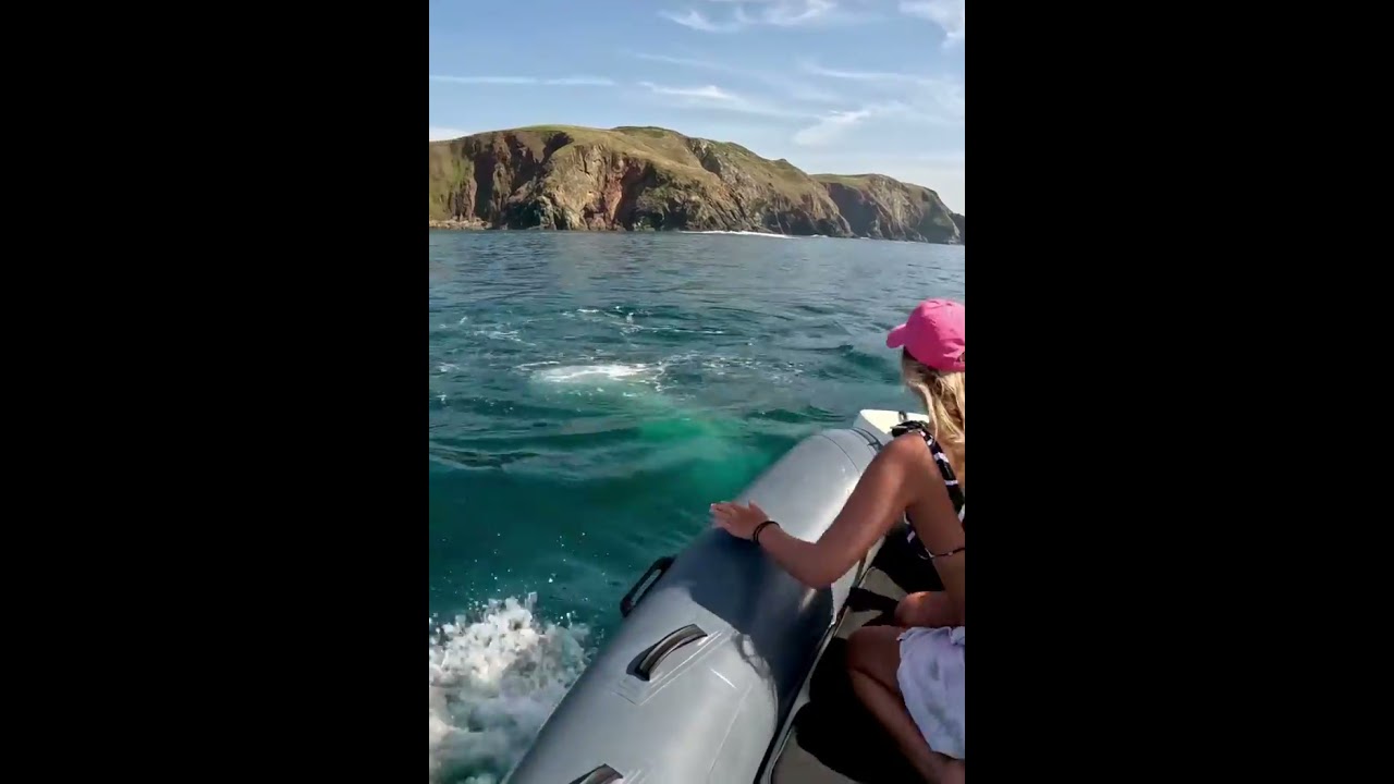 Blue Fin Tuna on South Devon Coast #travel #sea #fishing #tuna #biggamefishing #nature #oceans #fish