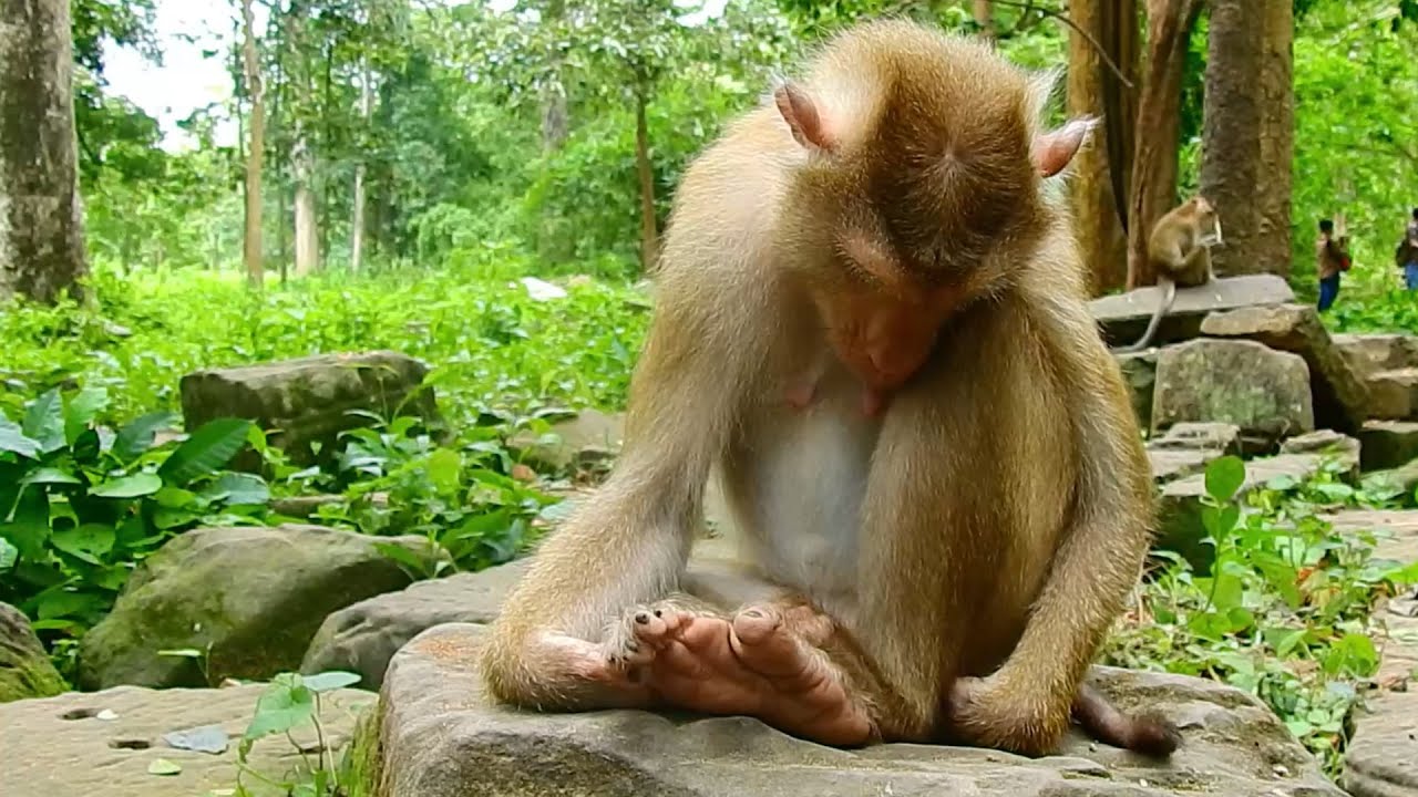 Poor pregnant mom Libby often feels fatigue during having a babe, Pregnancy Libby rests to get power