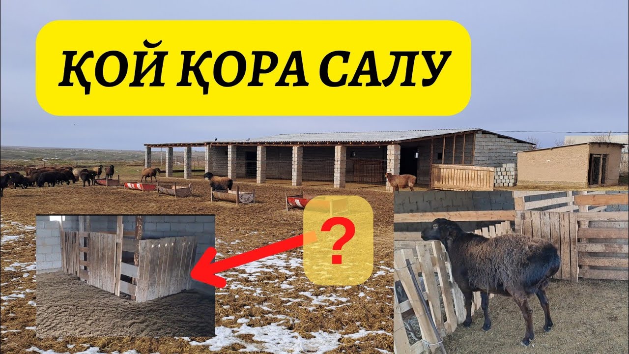 Қой қора салу. Жабық қора қойға не үшін керек ?