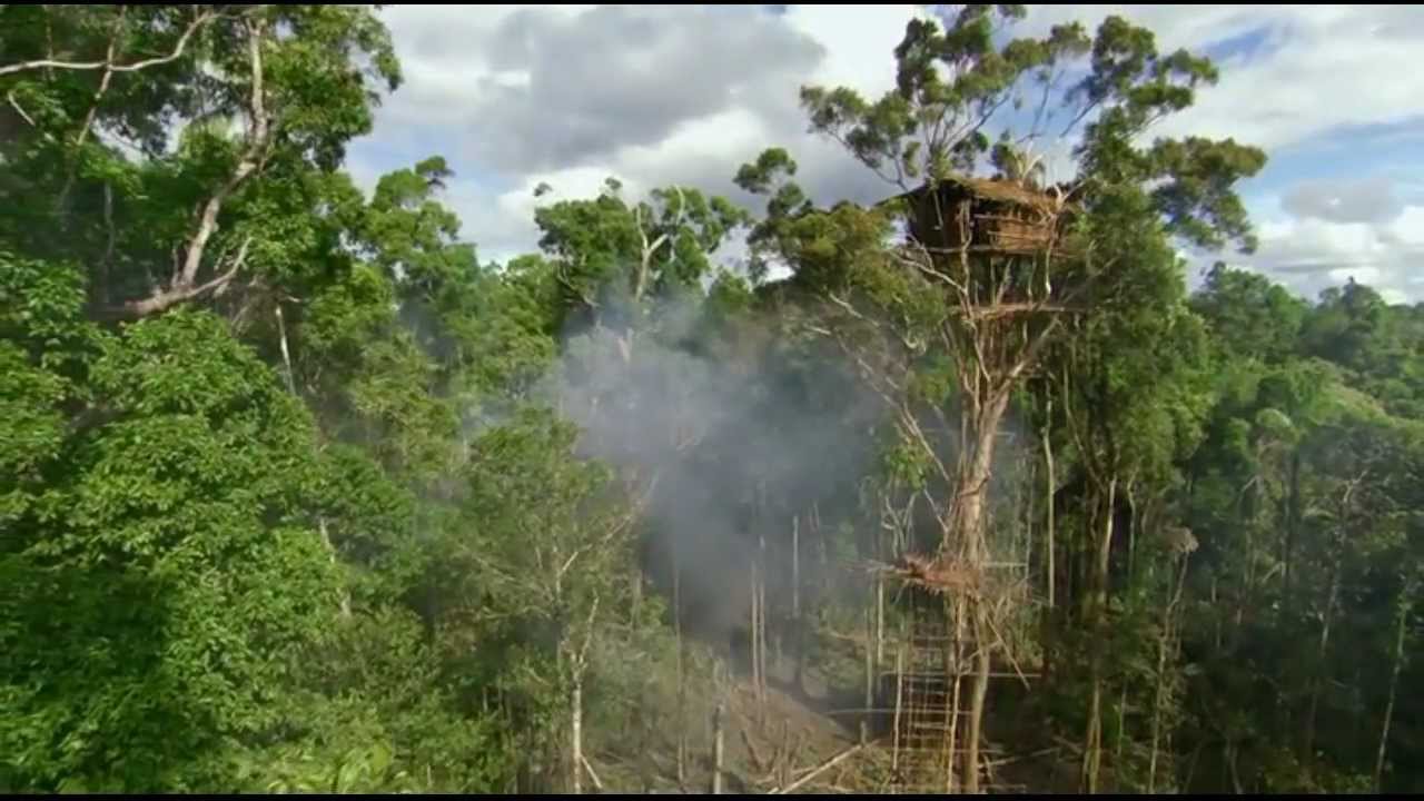 Carbon Based Lifeforms - Photosynthesis (What About The Forests?) [HD]