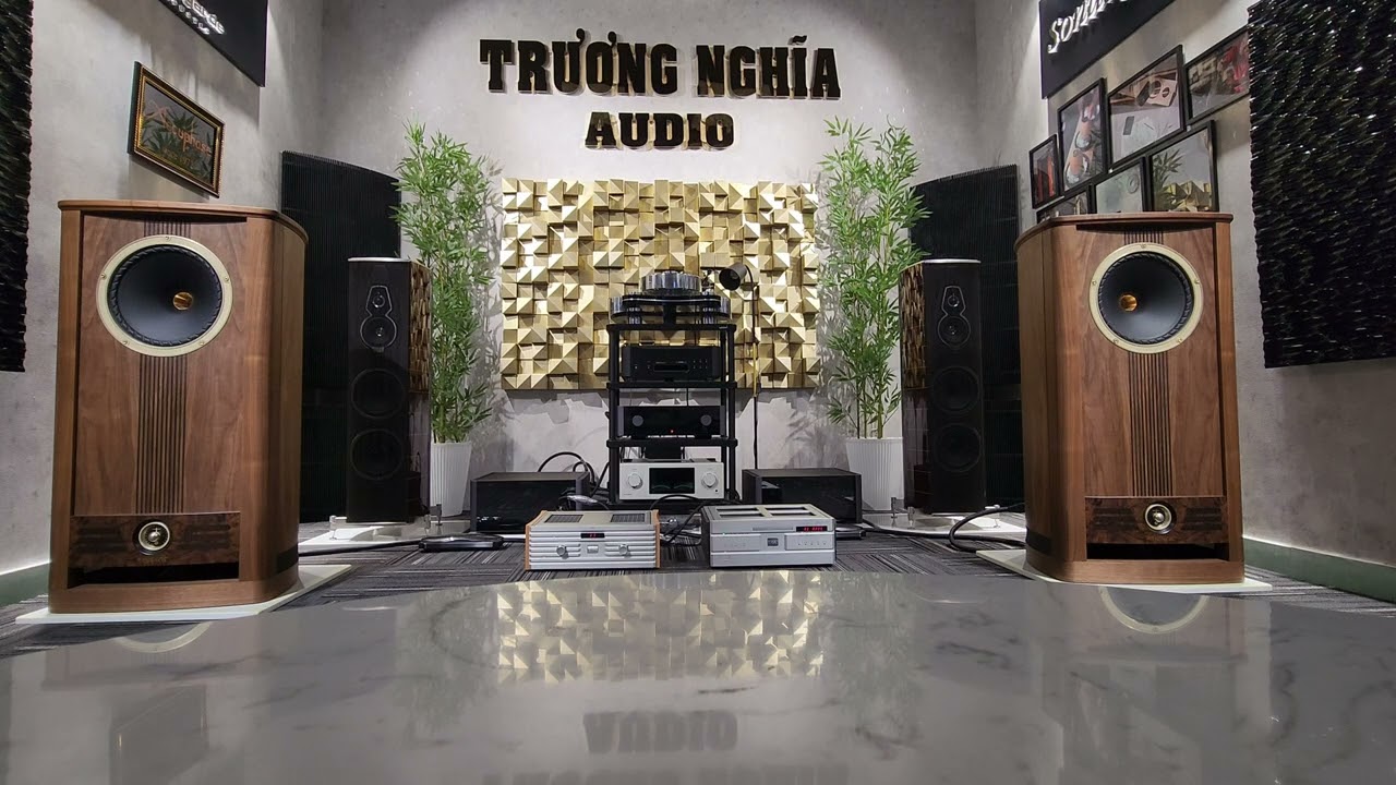 Fyne audio Twelve+ soulnote A2+ Sacd A3