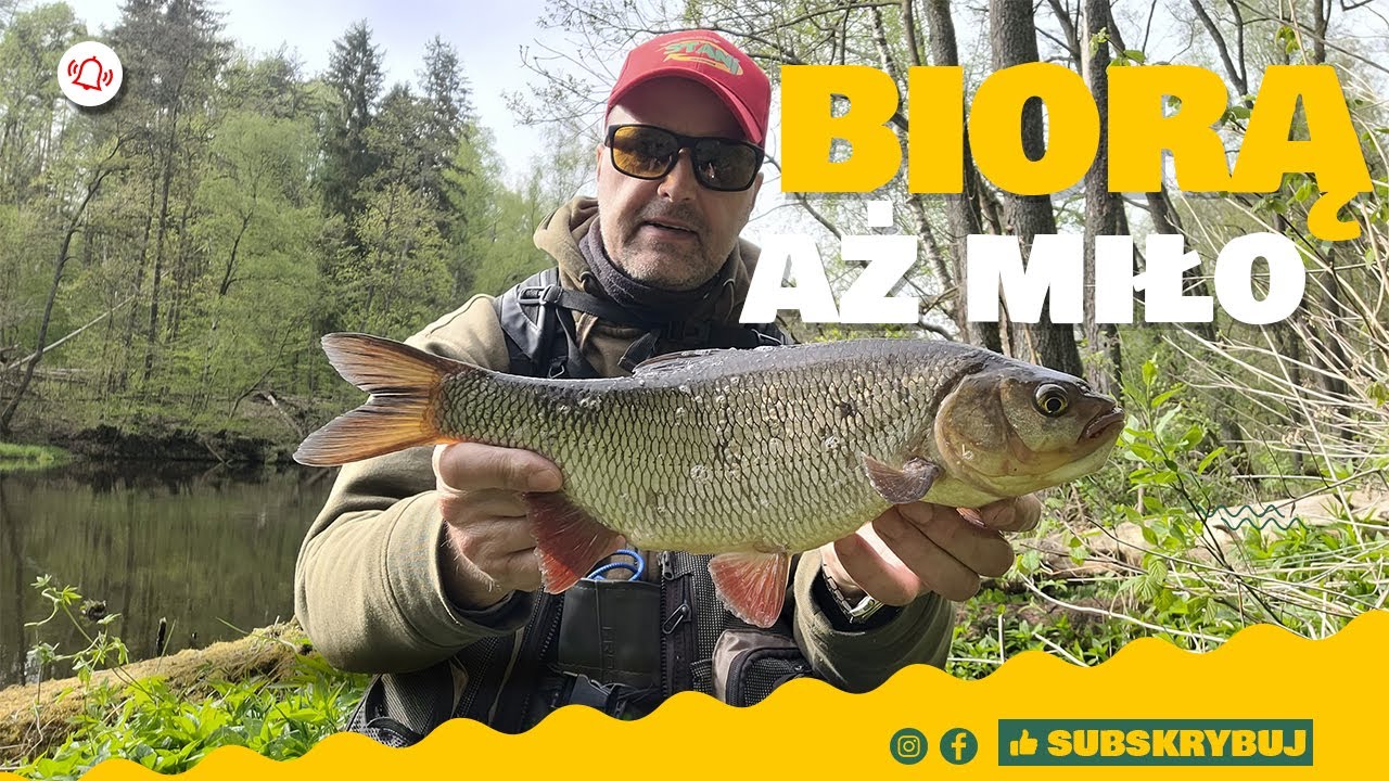 Jazie odpaliły na CAŁEGO / SKUTECZNY WĘZEŁ wędkarski / MEGA PROSTY / MEGA SZYBKI