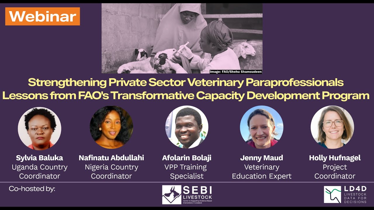 Strengthening Private Sector Veterinary Paraprofessionals - Lessons from FAO's Development Program
