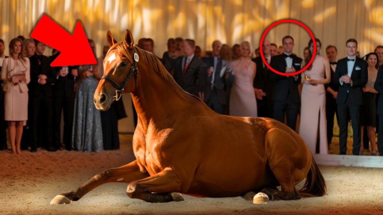 Un cheval refusé aux enchères est acheté par un jeune homme – la suite touche tout le monde !