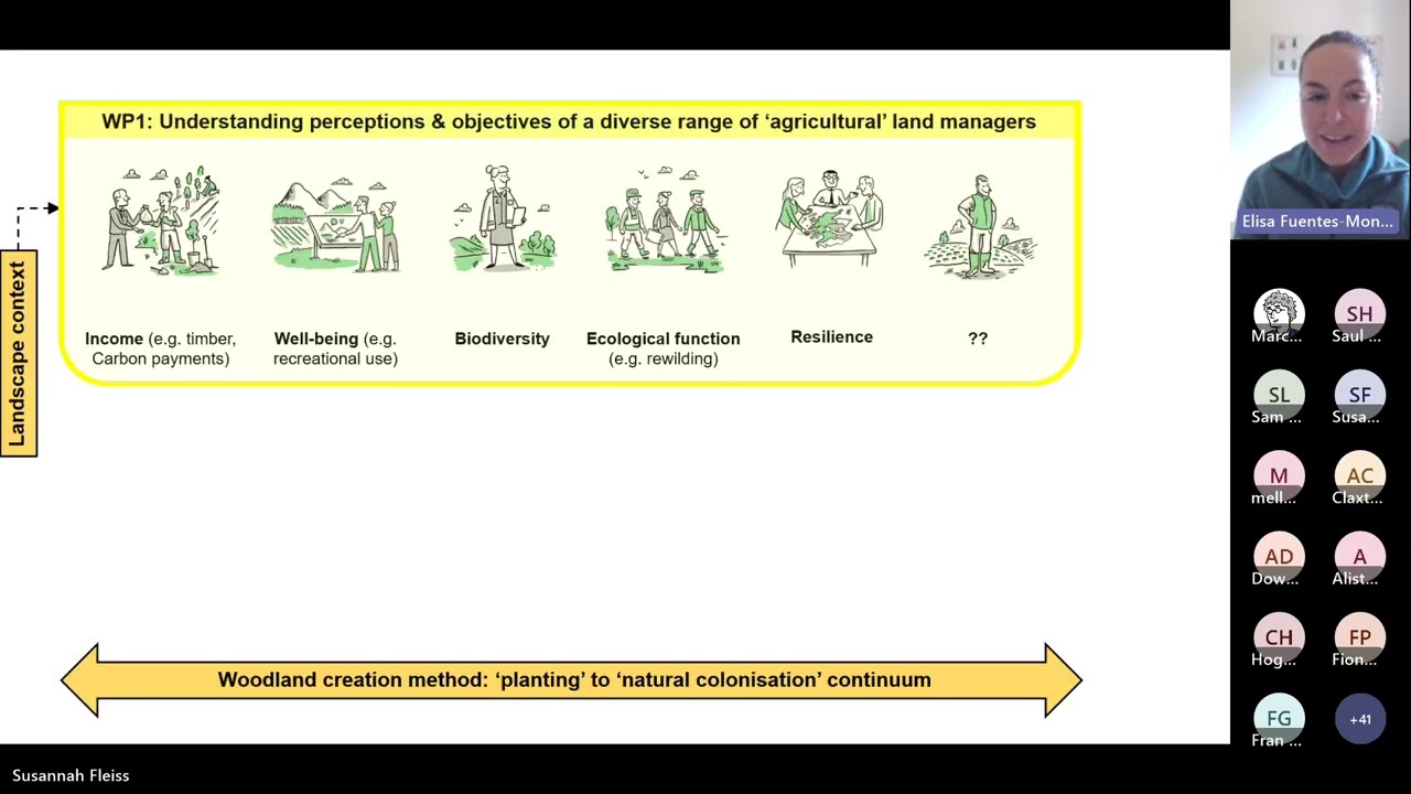 TreE PlaNat webinar #1: introduction to using natural colonisation to create new woodland