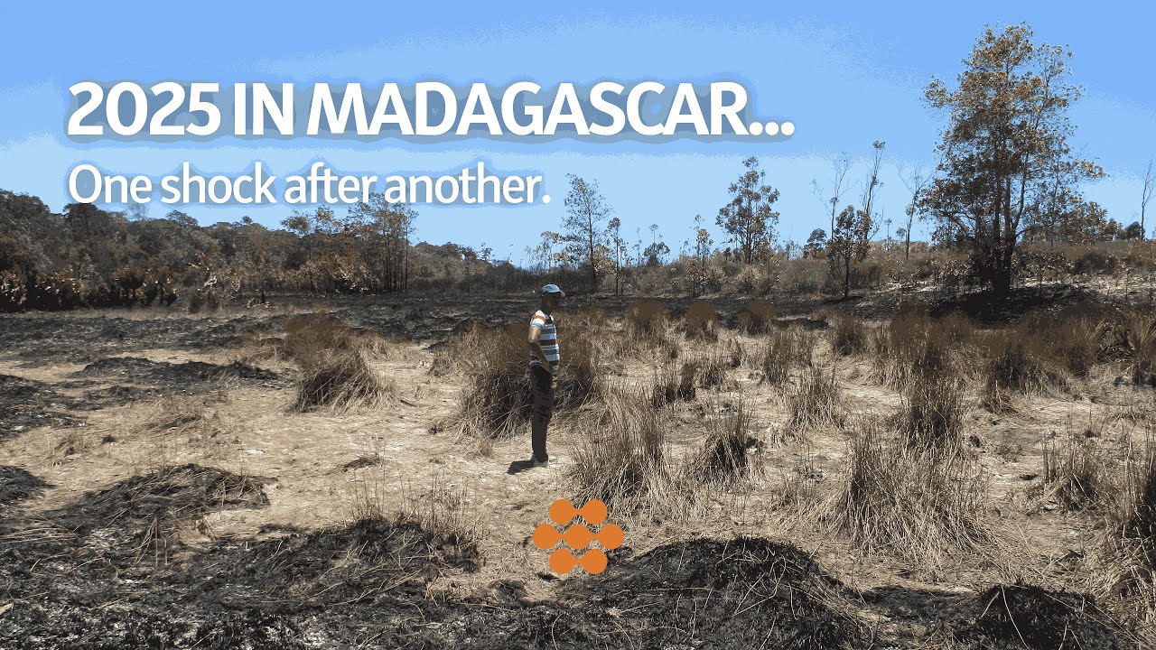 2025 in Madagascar... Drought, Wildfires, Cyclone, Aid Cuts, Political Instability and more 🔥🌳