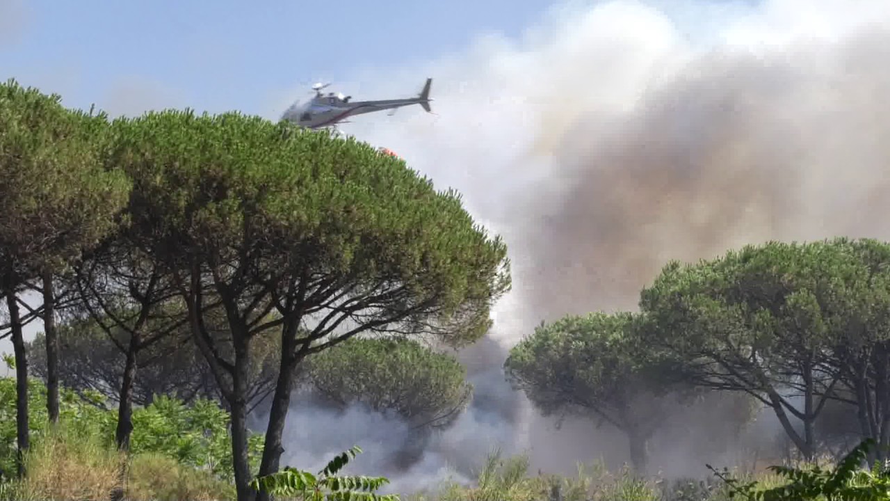 16 Luglio 2017 | Torre del Greco: brucia il Parco Nazionale del Vesuvio