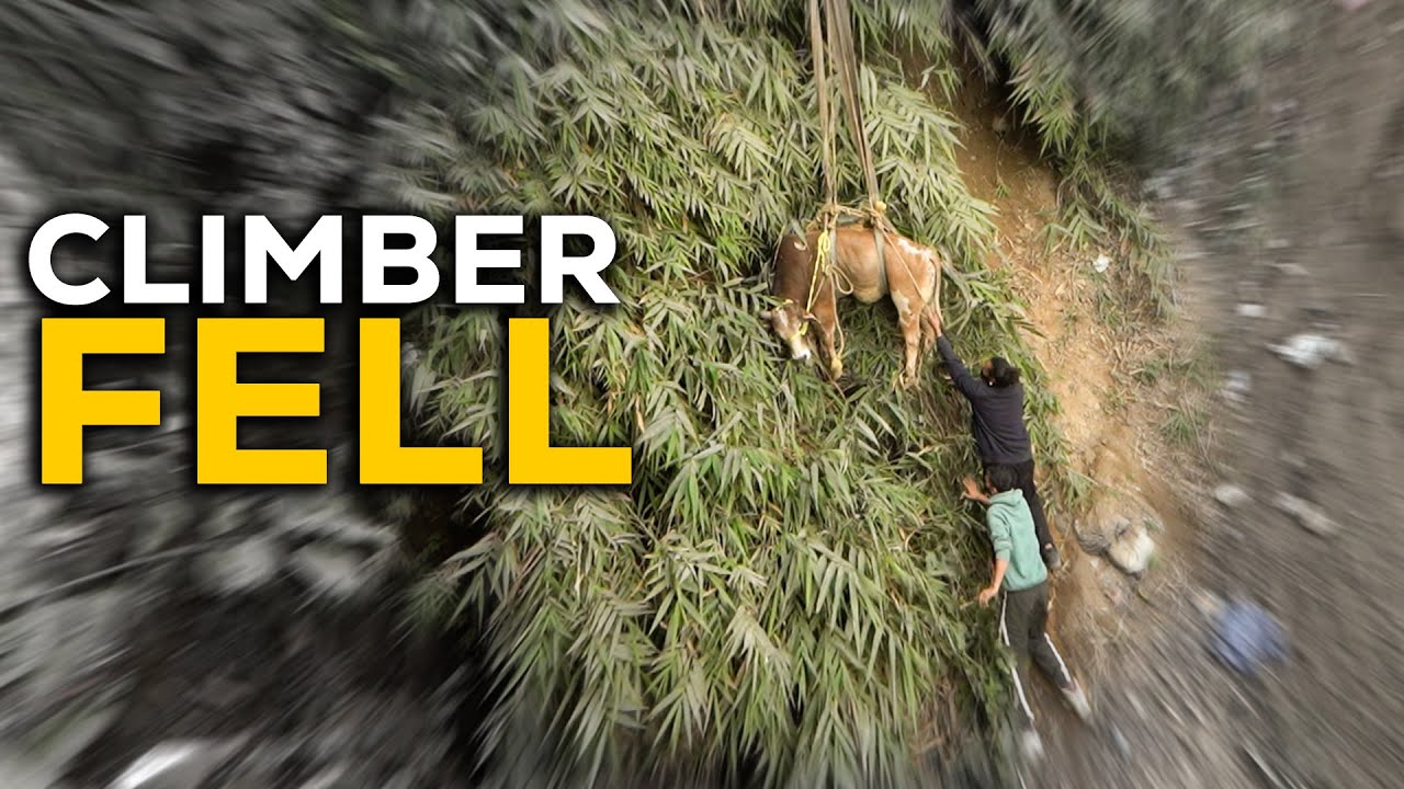 Kaafi khatarnak bull rescue 