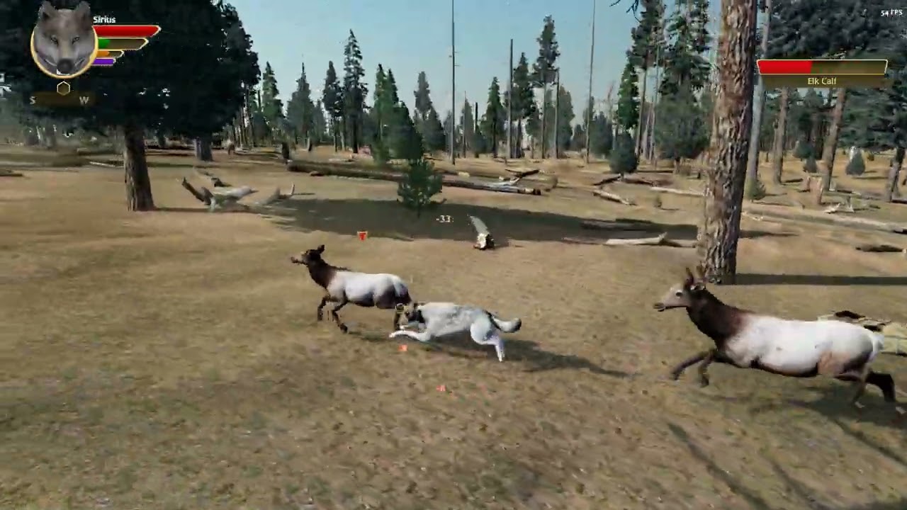 Wolfquest Anniversary Edition | Shot with GeForce | Hunting Gameplay W Minecraft OST (Aria Math)