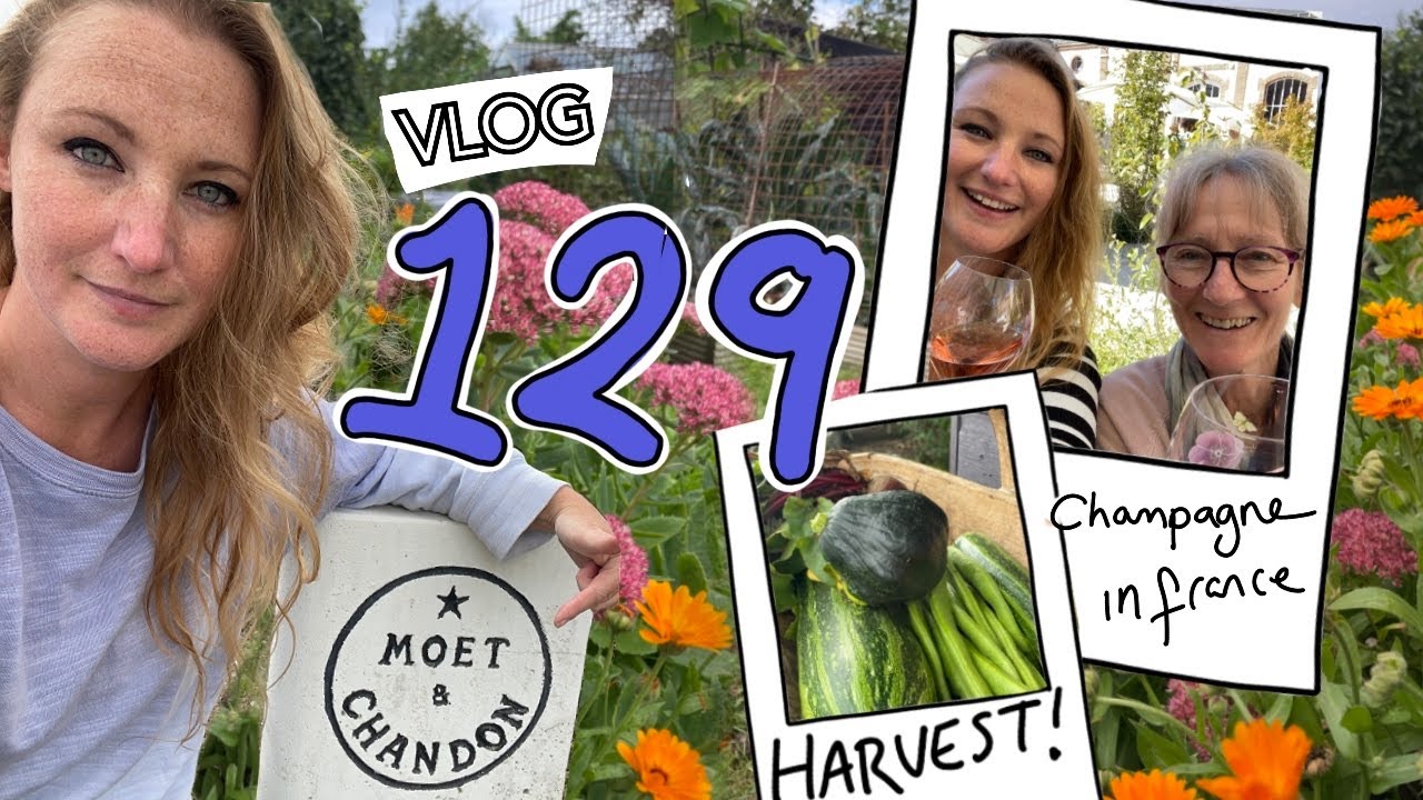 Ep129 Champagne All Round! Mum and I are in Epernay this week || Plot 37