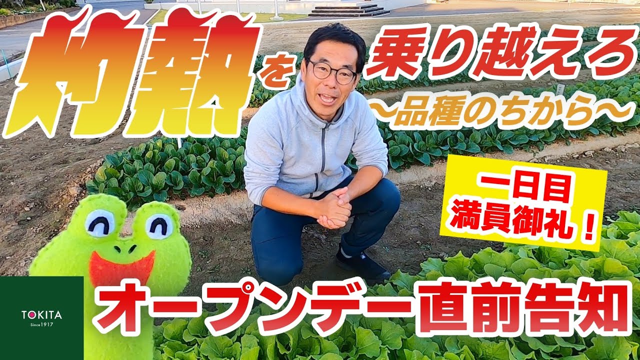【トキタ種苗】大利根研究農場オープンデー テーマと見どころ！【ご来場は予約制です】