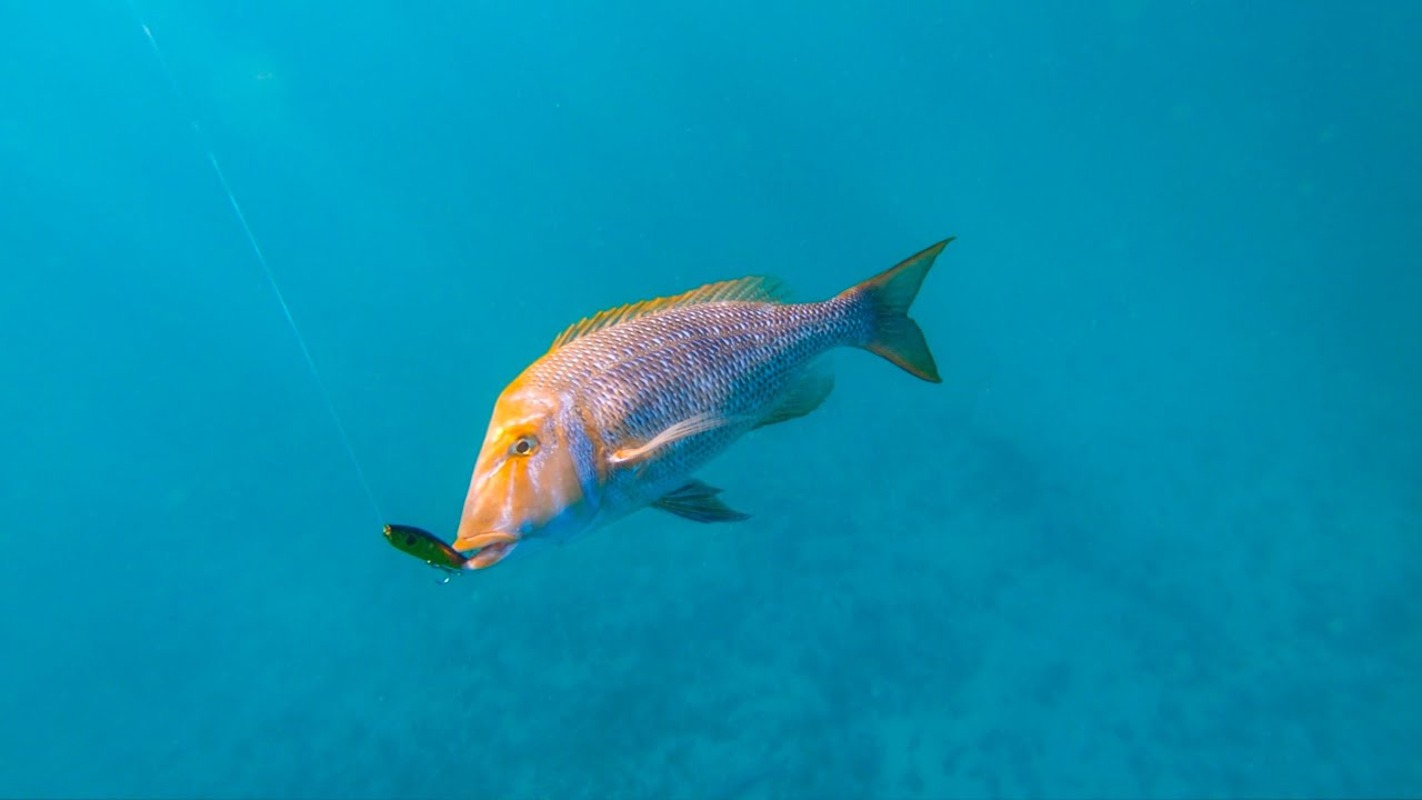 Kayak Fishing The Ningaloo Reef #3