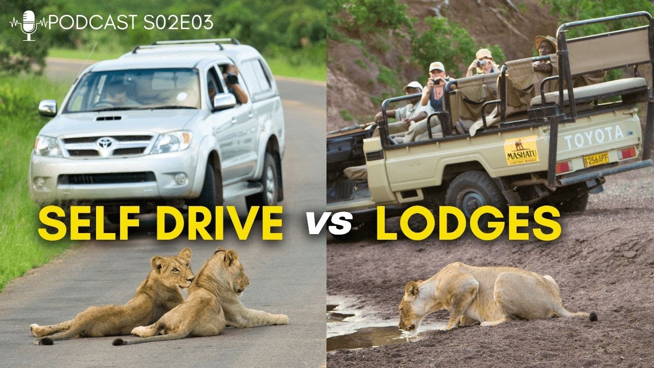 Self Drive vs Lodges - Which One Is Right for You? The Safari Shots Podcast S2E03