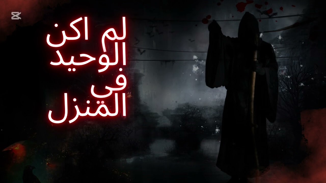 لم اكن الوحيد في المنزل 👹
