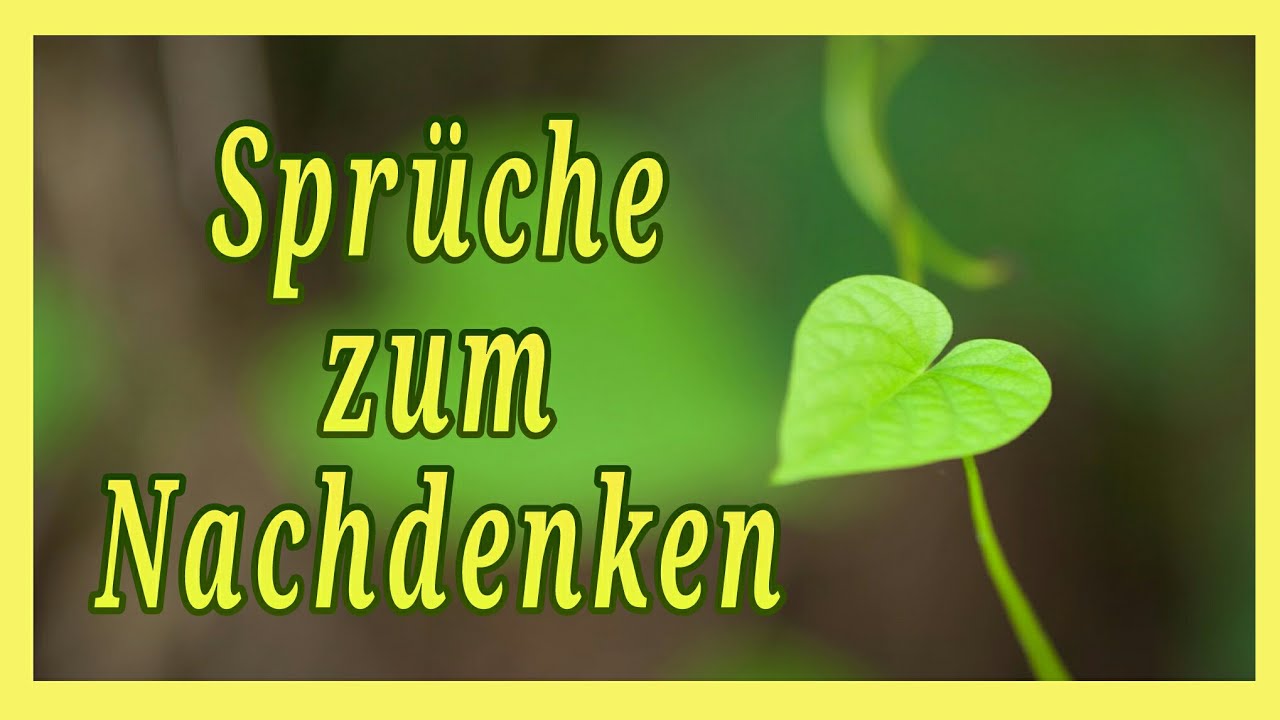 20 Spr&uuml;che zum Nachdenken   * Julebuergerfee