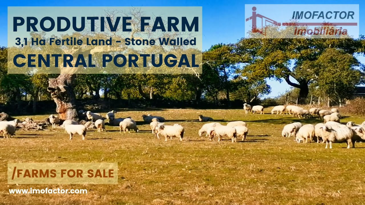 🌾 Farm For Sale - Produtive Land - Central&ensp;Portugal | &euro;48000