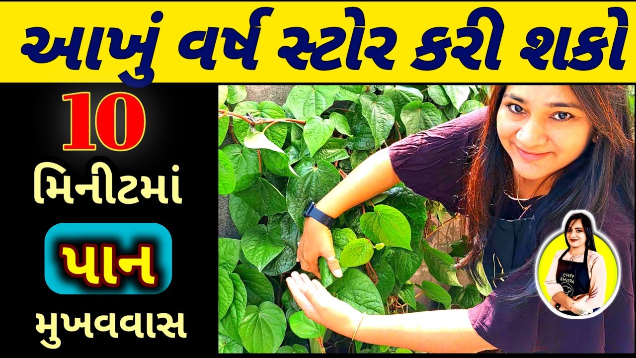 પાન મુખવાસ,paan mukhwas,pan mukhwas recipe,mukhwas recipe,pan mukhwas banavani rit,gujarati mukhwas