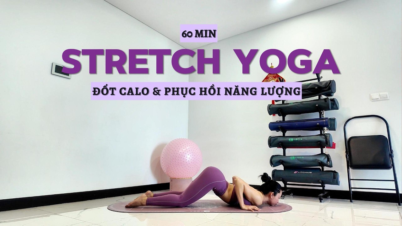 60 Phút | Stretch Yoga | Đốt Mỡ & Phục Hồi Năng Lượng | Cơ Bản, Trung Cấp, Nâng Cao | Yuni Yoga