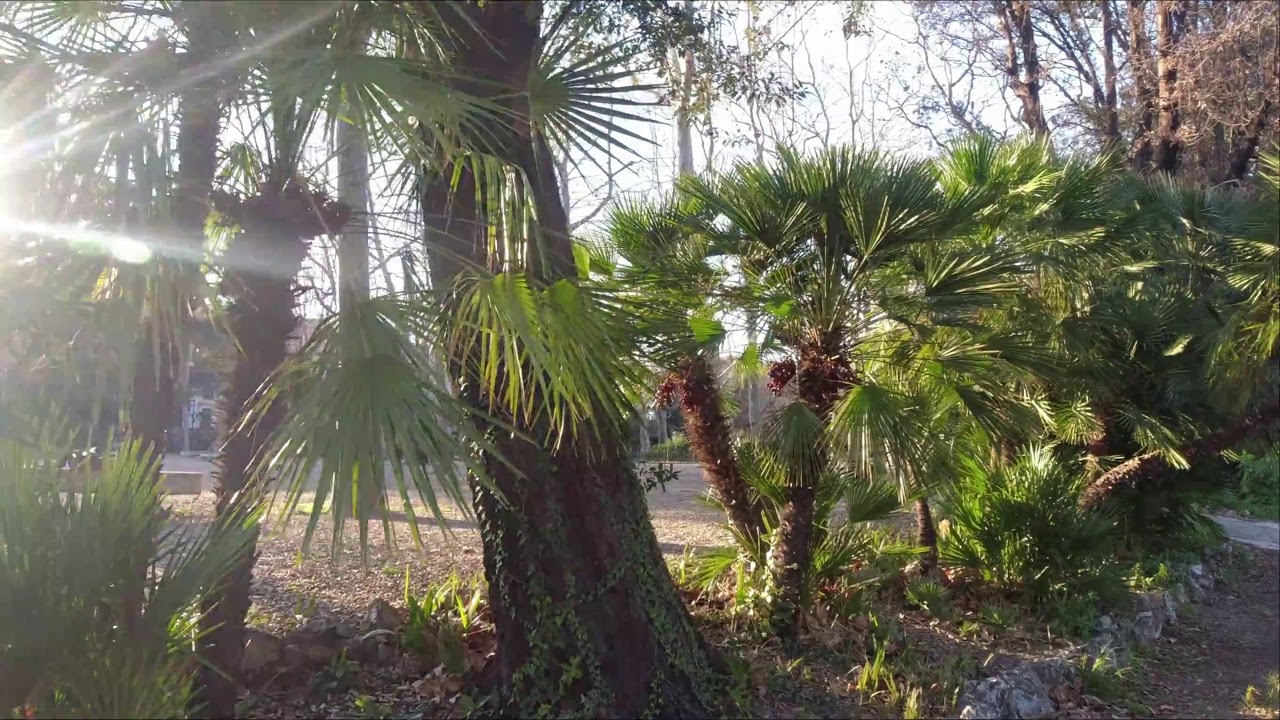 Il Parco Spianata dell'Acquasola in Genova