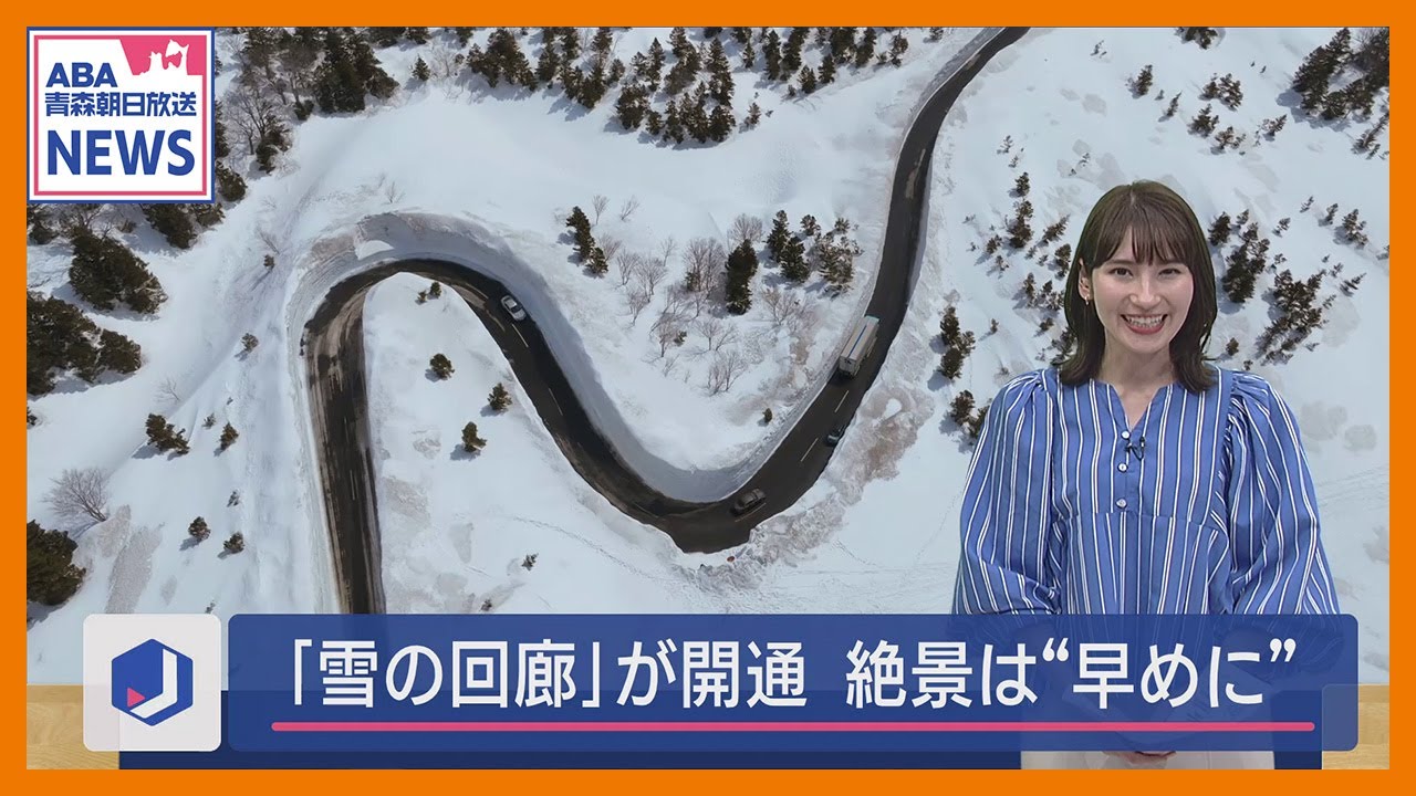 絶景！八甲田・十和田ゴールドライン「雪の回廊」　高い所で8メートル超