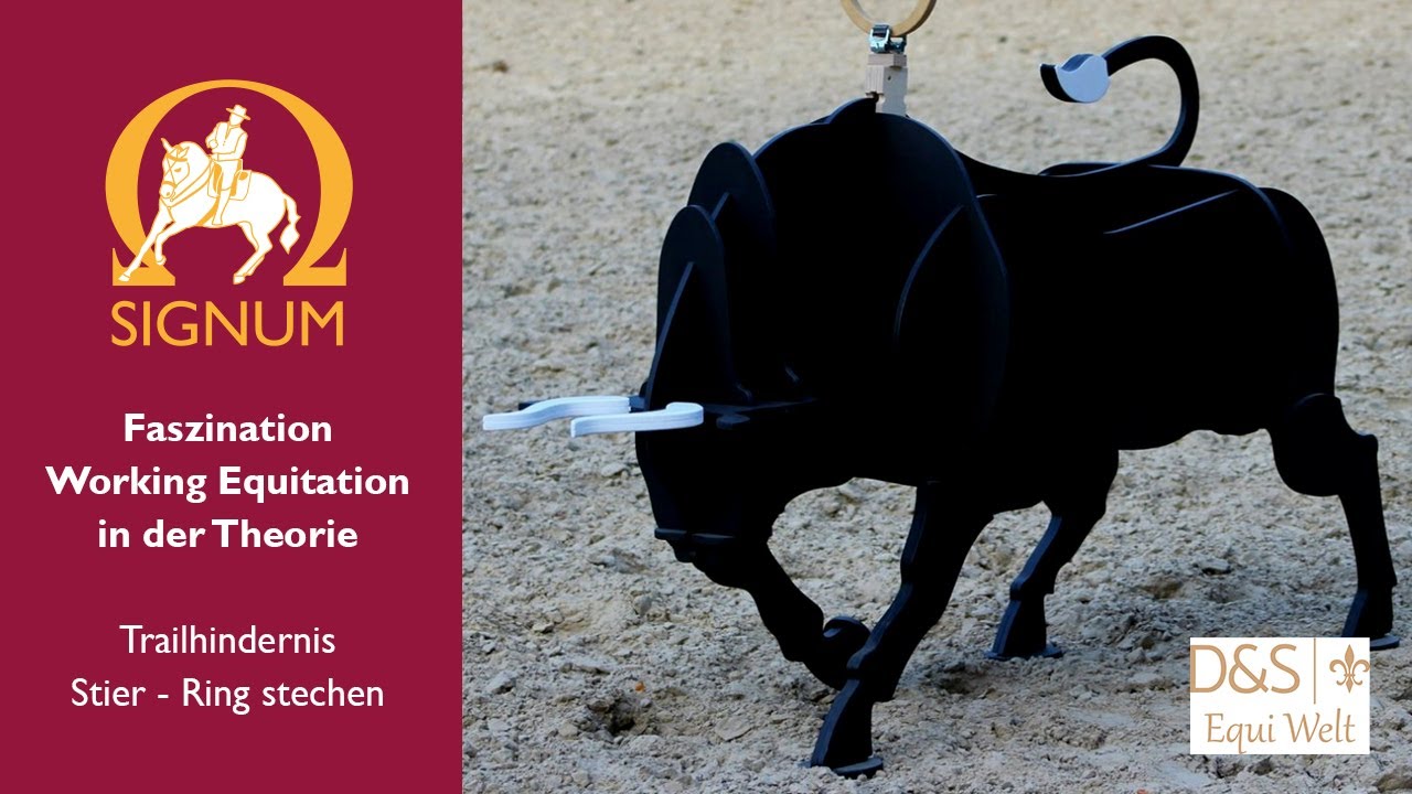 Faszination Working Equitation - Trailhindernis Ringstechen in der Theorie
