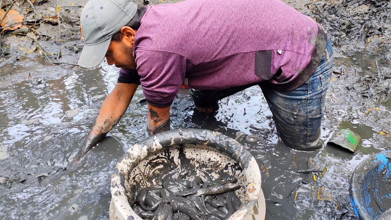 আজকে দুপুরবেলা আমাদের পুকুর থেকে অনেক অনেক মাছ ধরেছি। fishing। village fishing