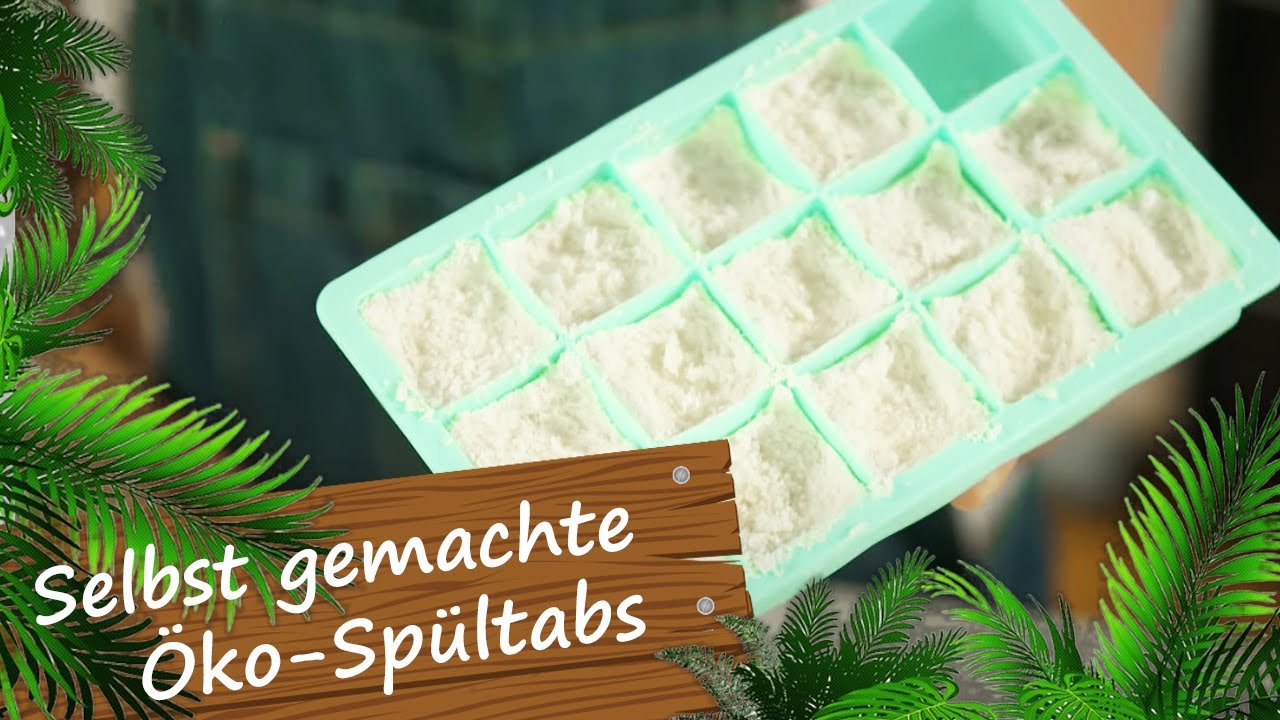 Geschirrspültabs selbst gemacht 🌸 DIY mit Manu | Reimanns LIFE